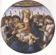 Sandro Botticelli Madonna and child with eight Angels or Raczinskj Tondo oil painting picture wholesale